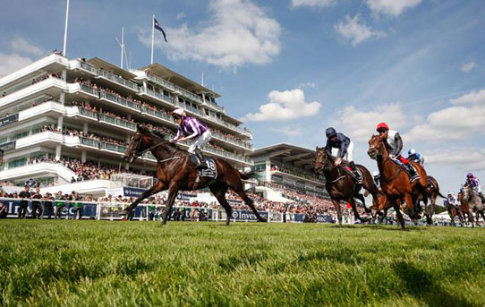 The Barns at Friars Court