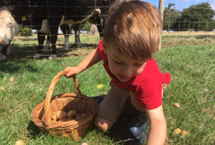 placeholderfourRight