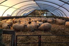 placeholderfourMiddleRight